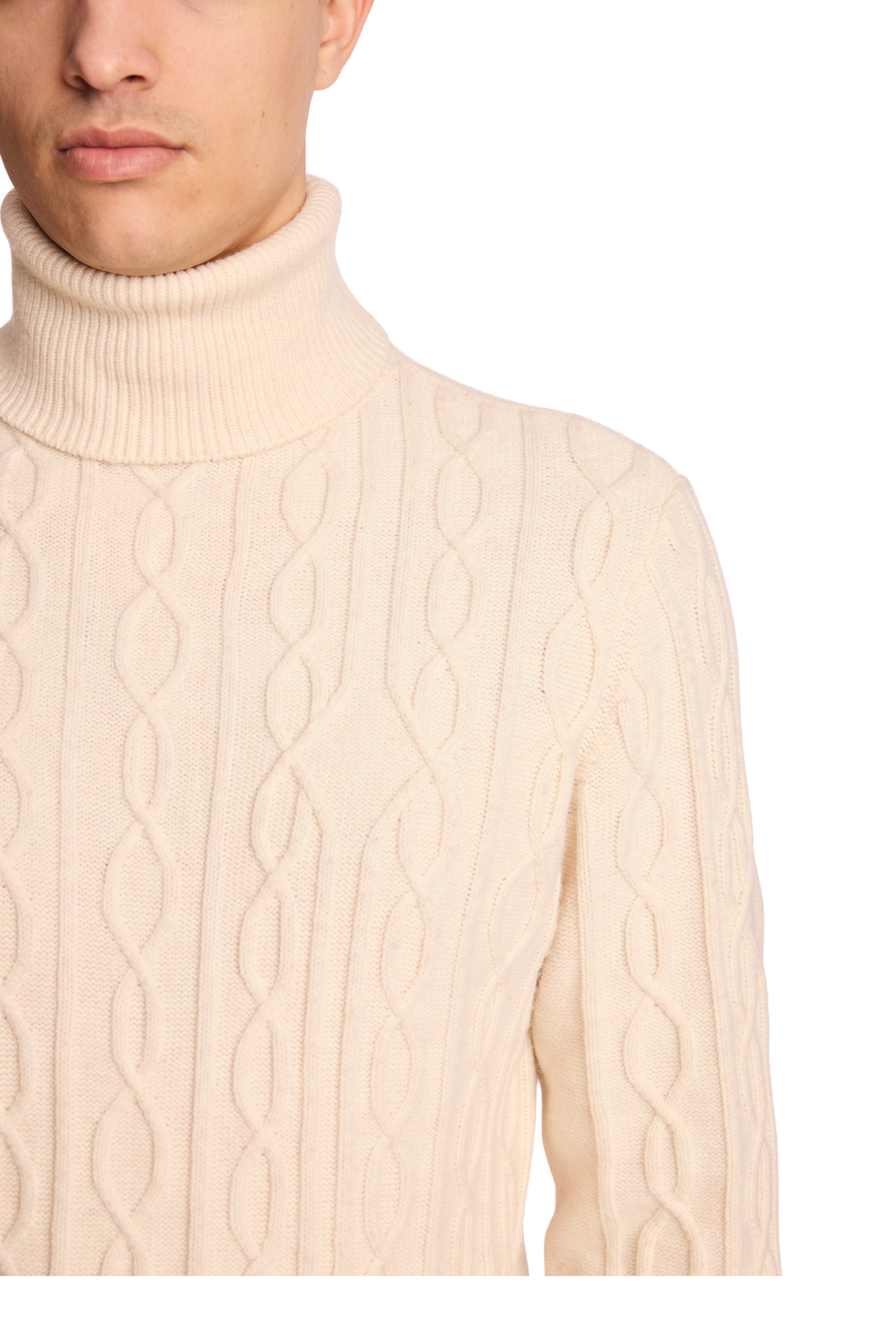 Chunky Turtleneck - Bone