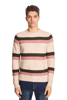  Crewneck Sweater - Pink Fern Stripe