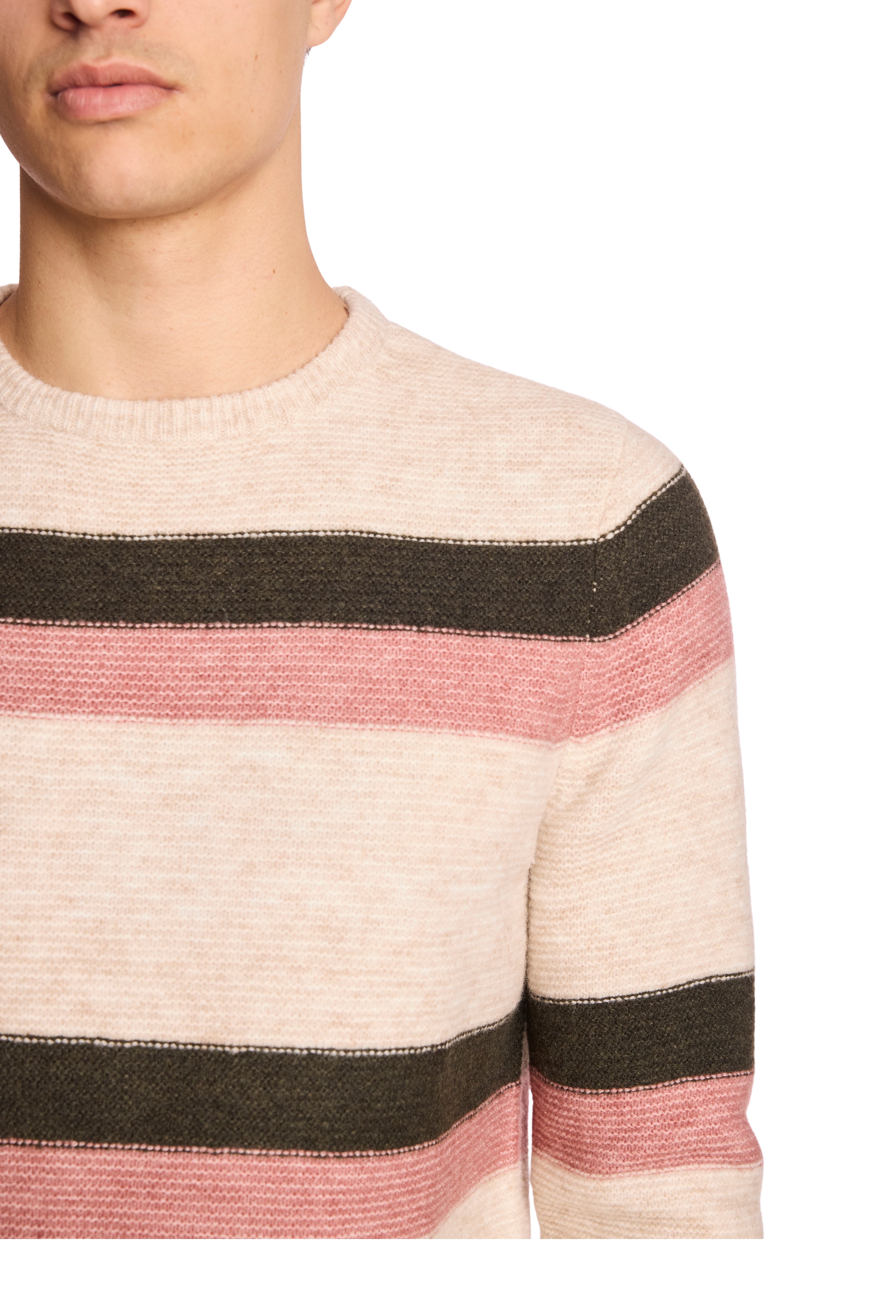 Crewneck Sweater - Pink Fern Stripe