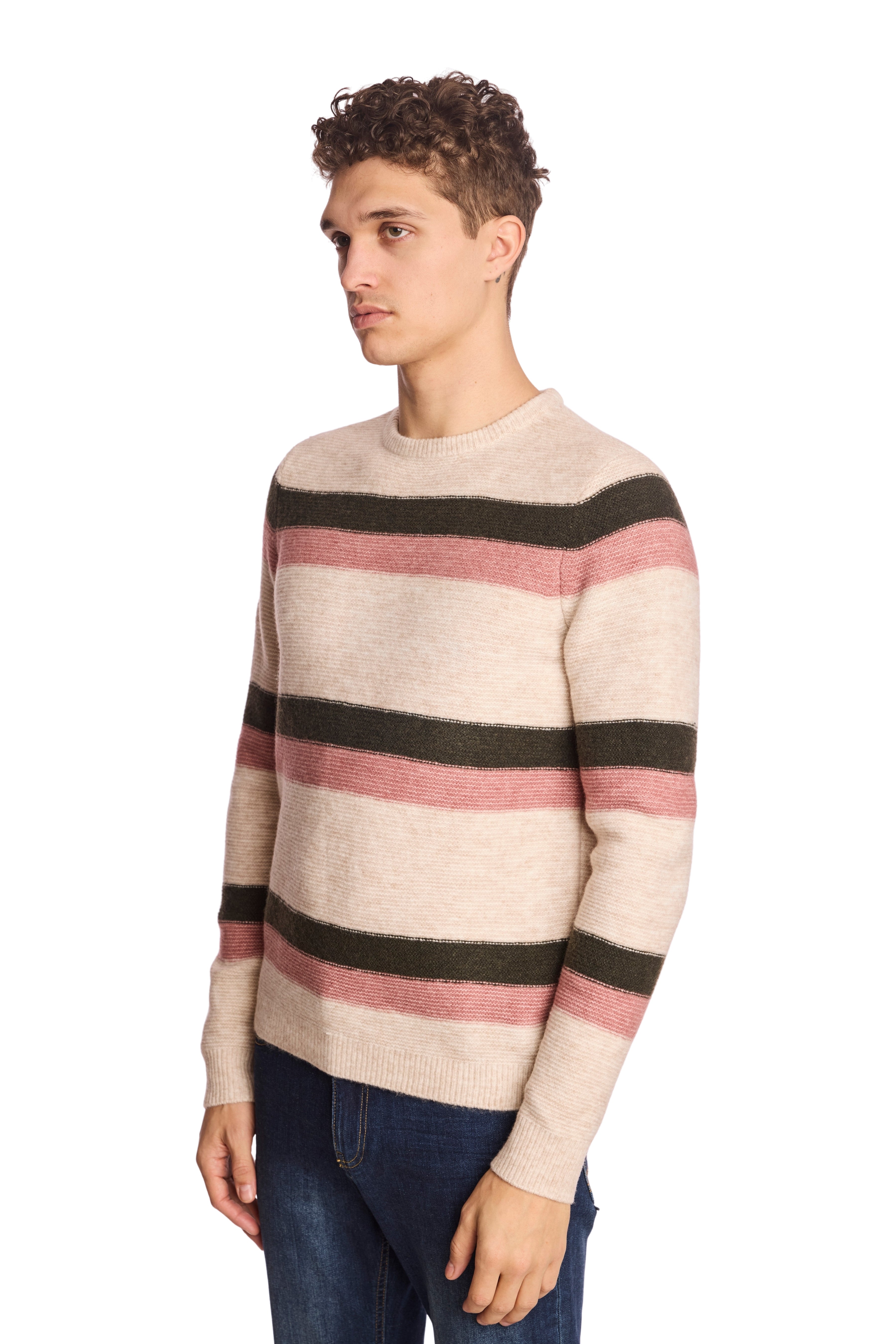 Crewneck Sweater - Pink Fern Stripe