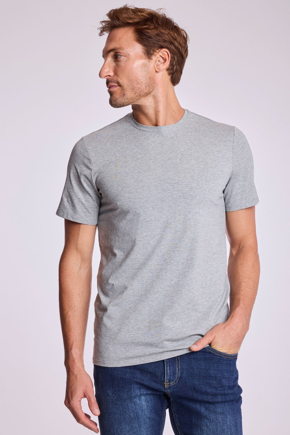 Lucas Crewneck T-Shirt - Light Grey